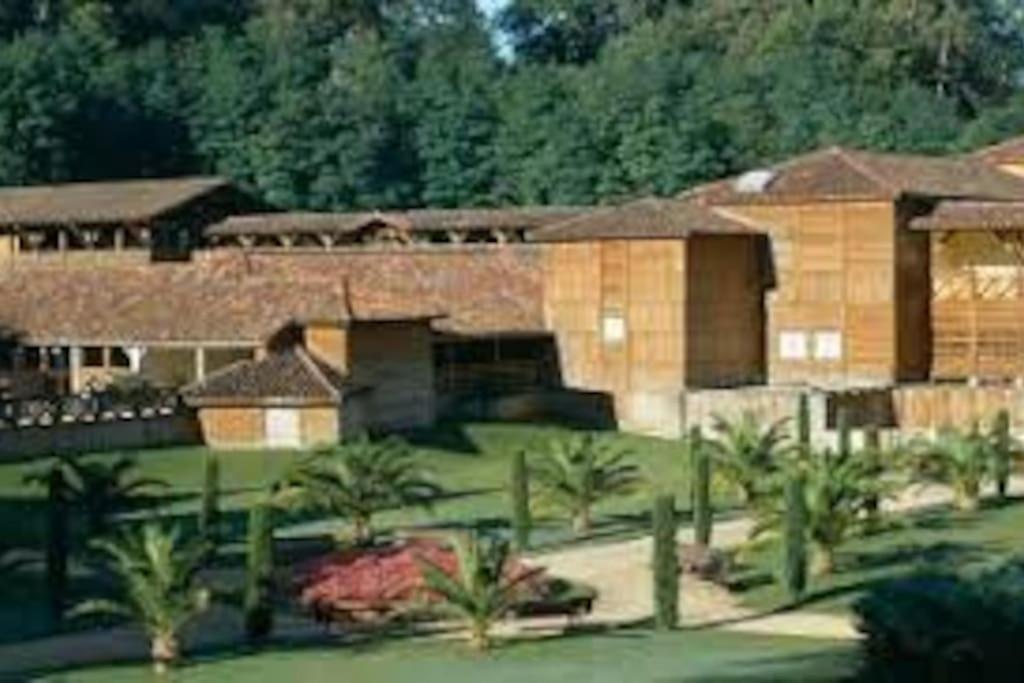 Maison Avec Piscine Proche Des Thermes Mauleon-D'armagnac Экстерьер фото
